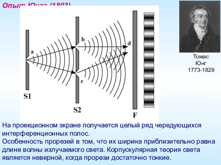 Томас Юнг 1773-1829 Опыт Юнга (1803) На проекционном экране получается целый ряд чередующихся