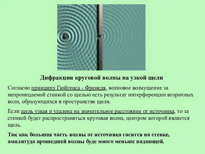 Дифракция круговой волны на узкой щели Согласно принципу Гюйгенса -