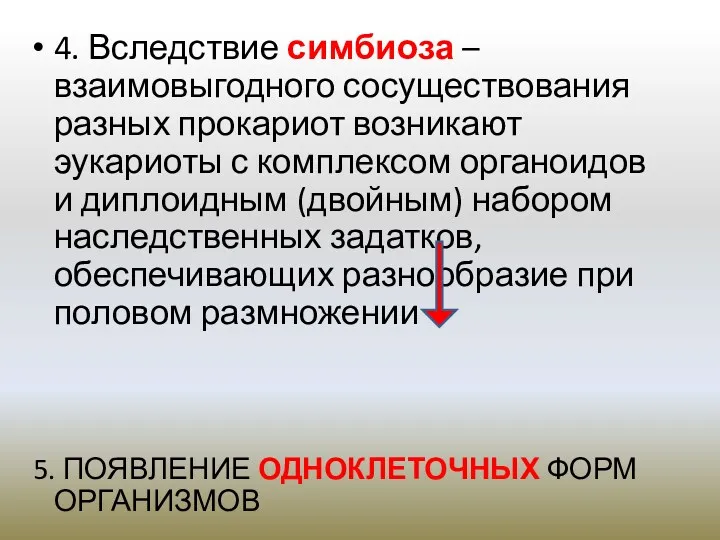 4. Вследствие симбиоза – взаимовыгодного сосуществования разных прокариот возникают эукариоты