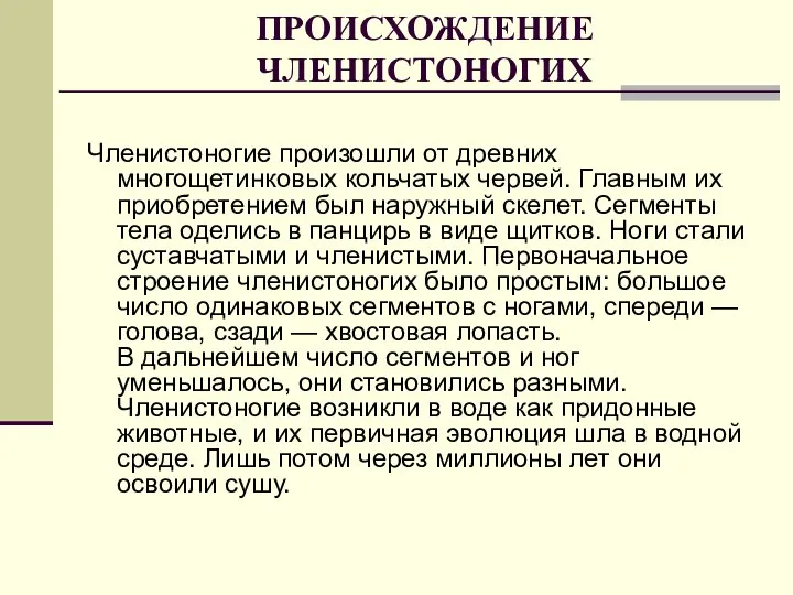 ПРОИСХОЖДЕНИЕ ЧЛЕНИСТОНОГИХ Членистоногие произошли от древних многощетинковых кольчатых червей. Главным