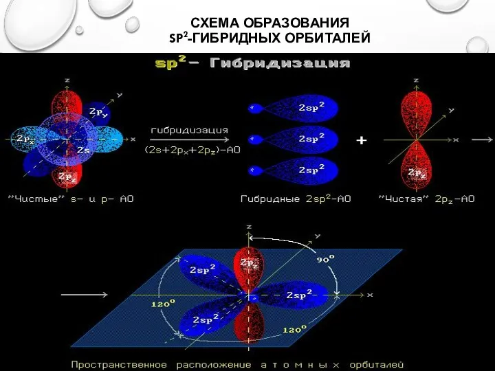 СХЕМА ОБРАЗОВАНИЯ SP2-ГИБРИДНЫХ ОРБИТАЛЕЙ