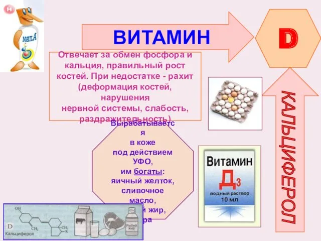 ВИТАМИН D КАЛЬЦИФЕРОЛ Отвечает за обмен фосфора и кальция, правильный