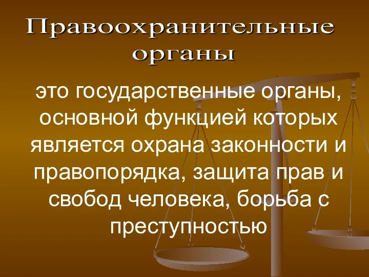 это государственные органы, основной функцией которых является охрана законности и