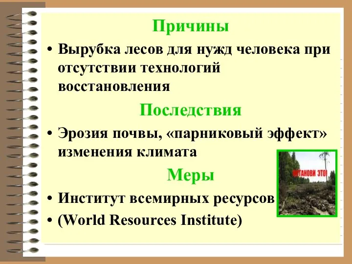 Причины Вырубка лесов для нужд человека при отсутствии технологий восстановления