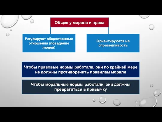 Общее у морали и права Регулируют общественные отношения (поведение людей)