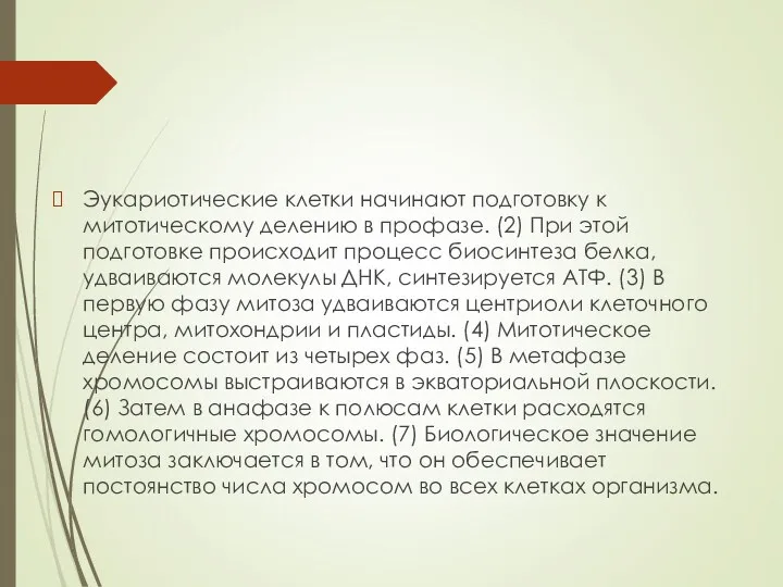 Эукариотические клетки начинают подготовку к митотическому делению в профазе. (2)