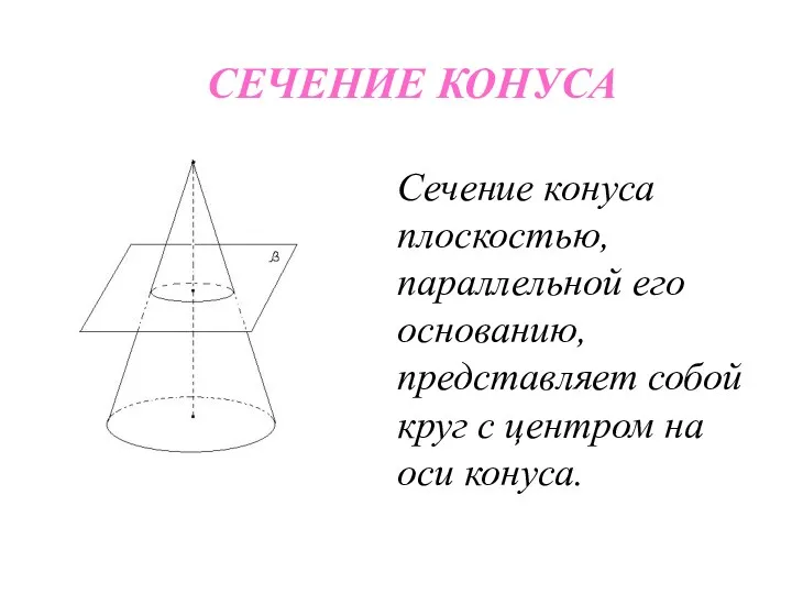 СЕЧЕНИЕ КОНУСА Сечение конуса плоскостью, параллельной его основанию, представляет собой круг с центром на оси конуса.