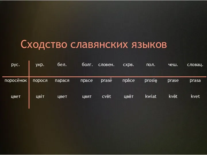 Сходство славянских языков