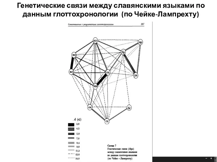 Генетические связи между славянскими языками по данным глоттохронологии (по Чейке-Лампрехту)