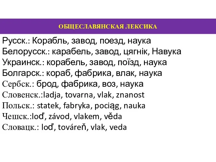 ОБЩЕСЛАВЯНСКАЯ ЛЕКСИКА Русск.: Корабль, завод, поезд, наука Белорусск.: карабель, завод,