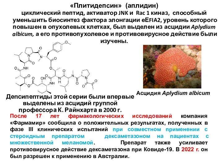 «Плитидепсин» (аплидин) циклический пептид, активатор JNK и Rac 1 киназ, способный уменьшить биосинтез