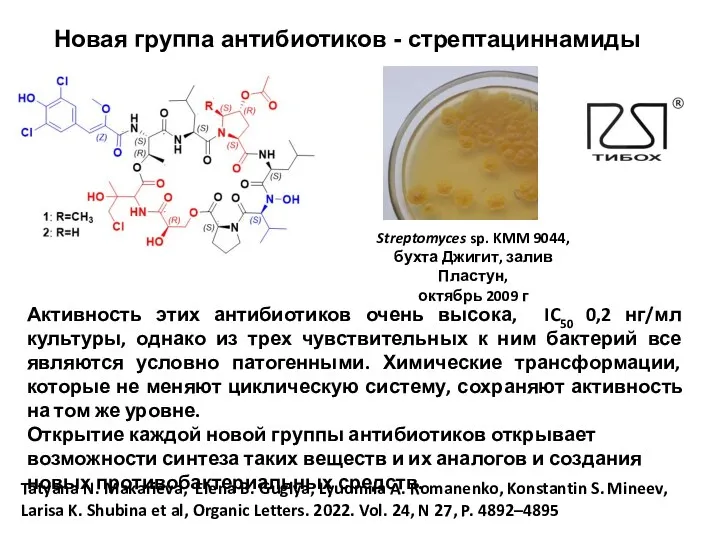 Новая группа антибиотиков - стрептациннамиды Streptomyces sp. KMM 9044, бухта Джигит, залив Пластун,
