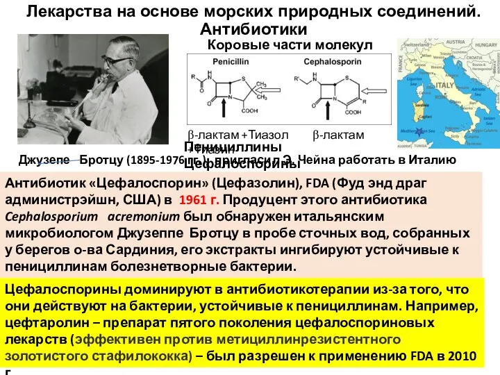 Лекарства на основе морских природных соединений. Антибиотики Антибиотик «Цефалоспорин» (Цефазолин), FDA (Фуд энд