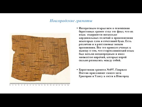 Новгородские грамоты Интересным открытием в отношении берестяных грамот стал тот