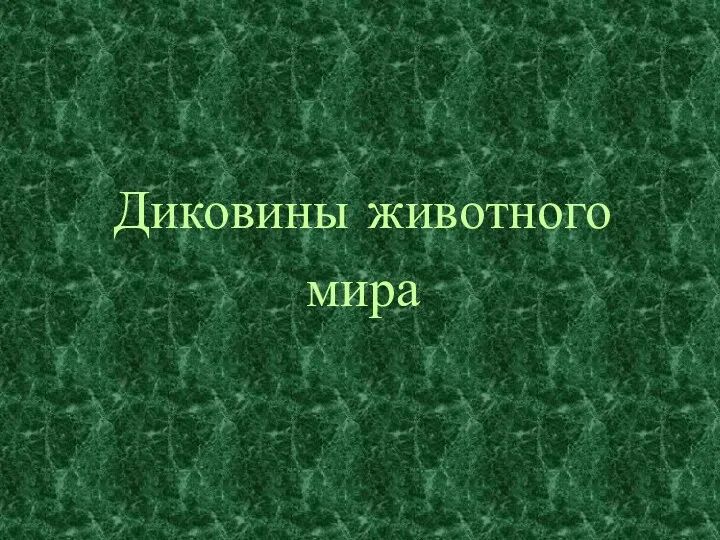 Диковины животного мира