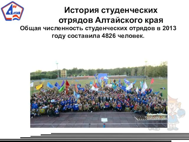 История студенческих отрядов Алтайского края Общая численность студенческих отрядов в 2013 году составила 4826 человек.