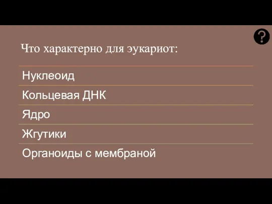 Что характерно для эукариот: