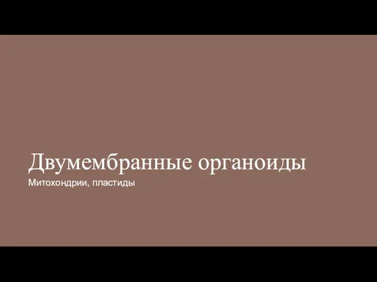 Двумембранные органоиды Митохондрии, пластиды