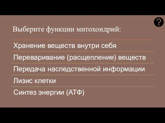 Выберите функции митохондрий: