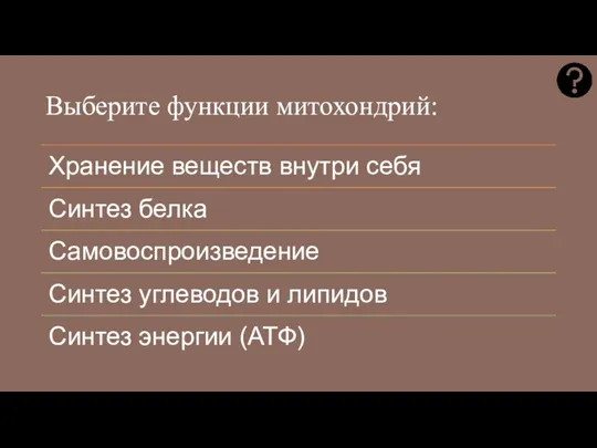 Выберите функции митохондрий: