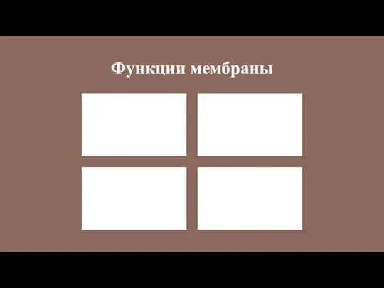 Функции мембраны