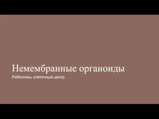 Немембранные органоиды Рибосомы, клеточный центр