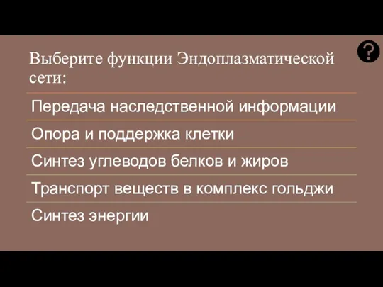 Выберите функции Эндоплазматической сети: