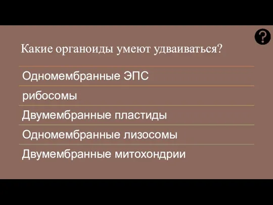 Какие органоиды умеют удваиваться?