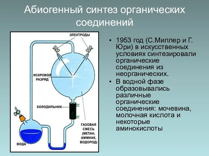 Абиогенный синтез органических соединений 1953 год (С.Миллер и Г.Юри) в искусственных условиях синтезировали