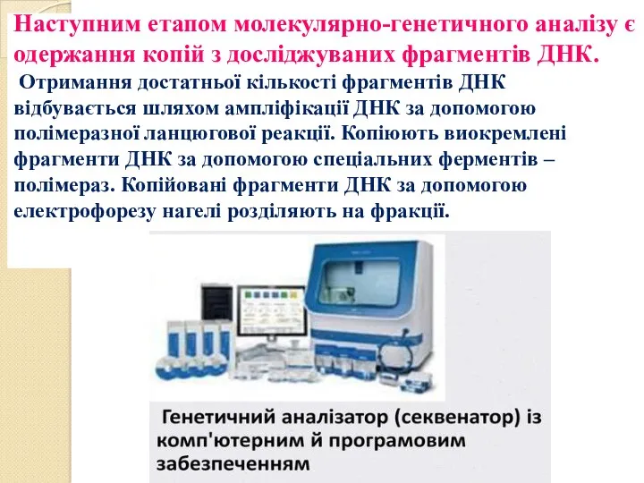 Наступним етапом молекулярно-генетичного аналізу є одержання копій з досліджуваних фрагментів