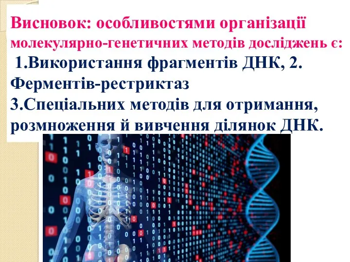 Висновок: особливостями організації молекулярно-генетичних методів досліджень є: 1.Використання фрагментів ДНК,
