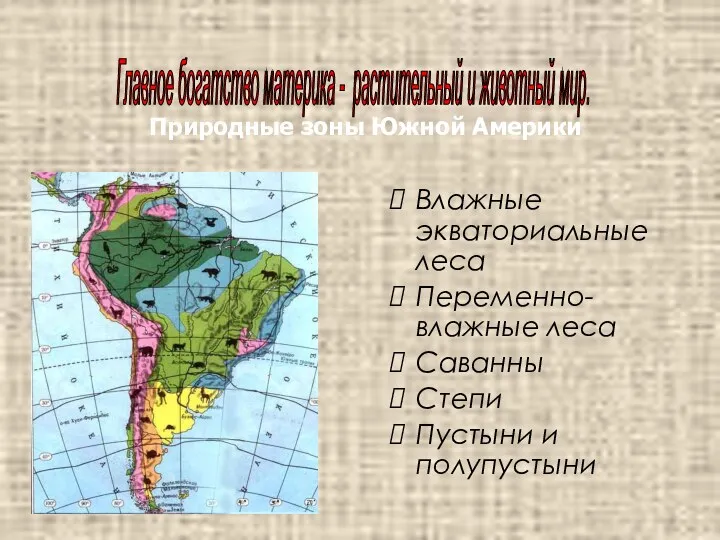 Влажные экваториальные леса Переменно-влажные леса Саванны Степи Пустыни и полупустыни