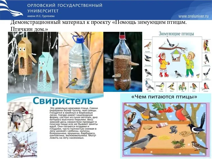 Демонстрационный материал к проекту «Помощь зимующим птицам. Птичкин дом.»