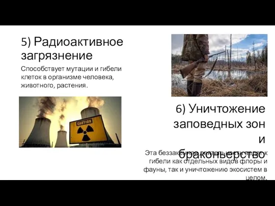 5) Радиоактивное загрязнение Способствует мутации и гибели клеток в организме