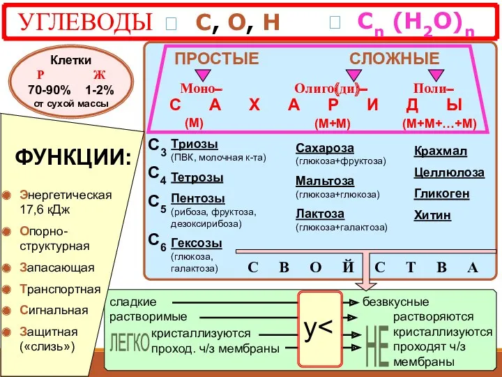 УГЛЕВОДЫ ? С, О, Н СЛОЖНЫЕ Моно– Олиго(ди)– Поли– С