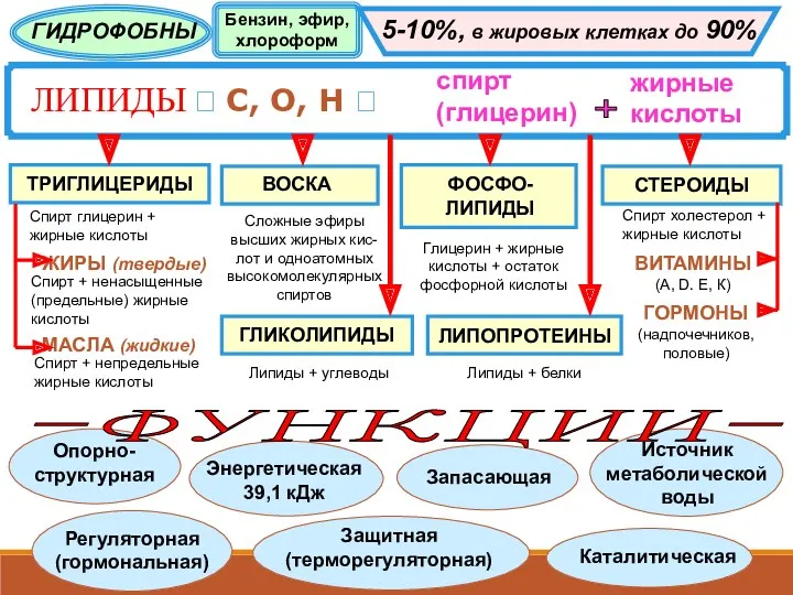 ЛИПИДЫ ? С, О, Н ? спирт (глицерин) жирные кислоты