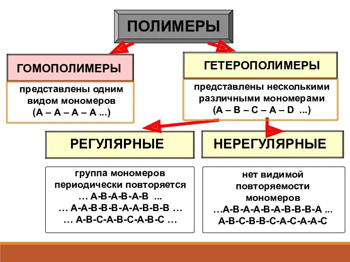 ПОЛИМЕРЫ ГОМОПОЛИМЕРЫ ГЕТЕРОПОЛИМЕРЫ представлены одним видом мономеров (А – А – А –