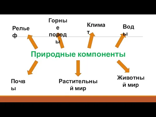 Природные компоненты Рельеф Горные породы Почвы Климат Растительный мир Воды Животный мир