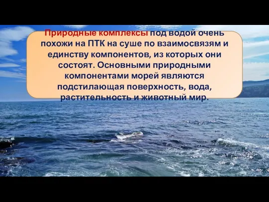 Природные комплексы под водой очень похожи на ПТК на суше