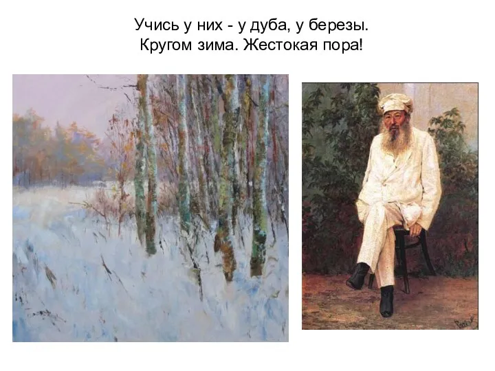 Учись у них - у дуба, у березы. Кругом зима. Жестокая пора!