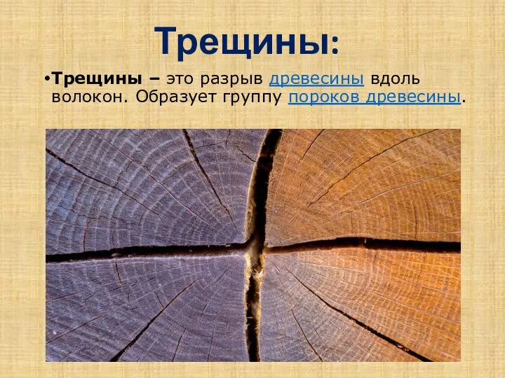 Трещины: Трещины – это разрыв древесины вдоль волокон. Образует группу пороков древесины.