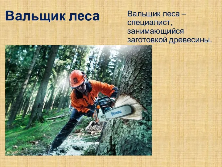 Вальщик леса Вальщик леса – специалист, занимающийся заготовкой древесины.