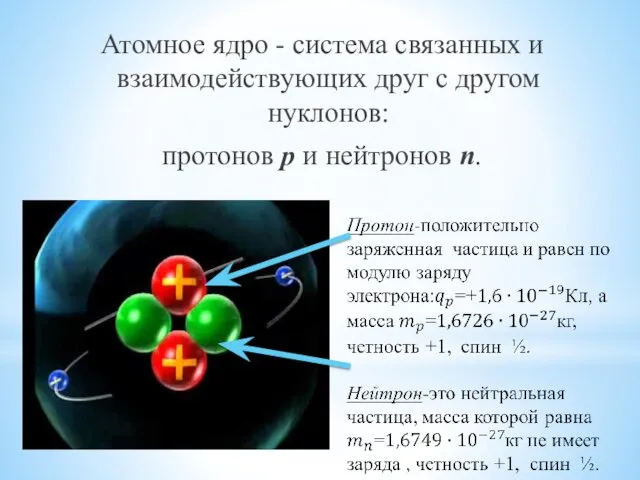 Атомное ядро - система связанных и взаимодействующих друг с другом нуклонов: протонов p и нейтронов n.