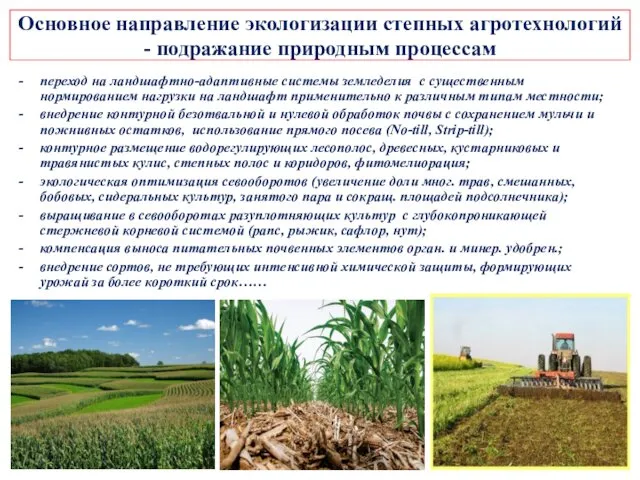 Основное направление экологизации степных агротехнологий - подражание природным процессам переход на ландшафтно-адаптивные системы