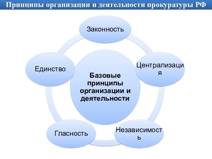 Принципы организации и деятельности прокуратуры РФ