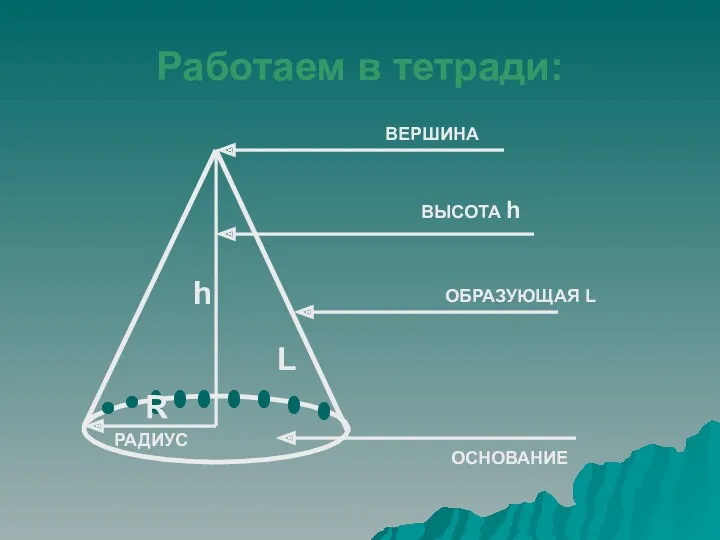 Работаем в тетради: ОСНОВАНИЕ ВЕРШИНА ВЫСОТА h R РАДИУС ОБРАЗУЮЩАЯ L L h