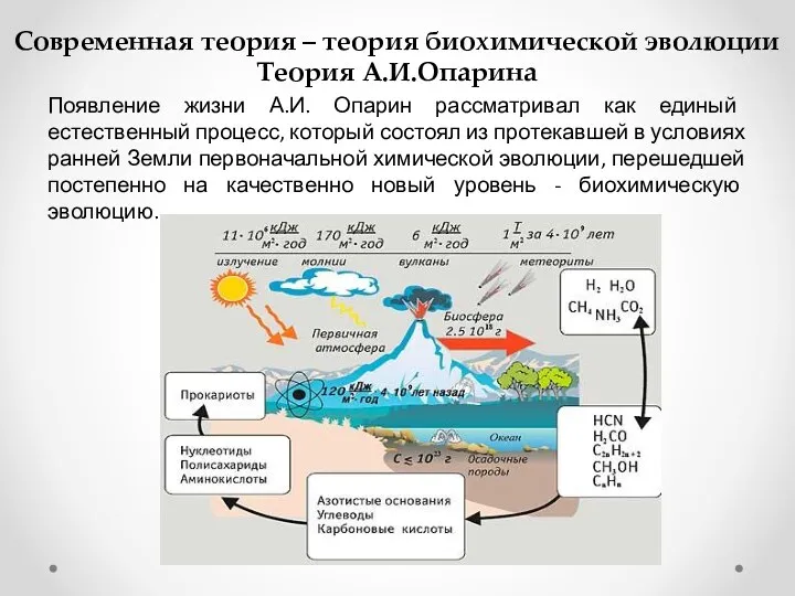 Современная теория – теория биохимической эволюции Теория А.И.Опарина Появление жизни А.И. Опарин рассматривал