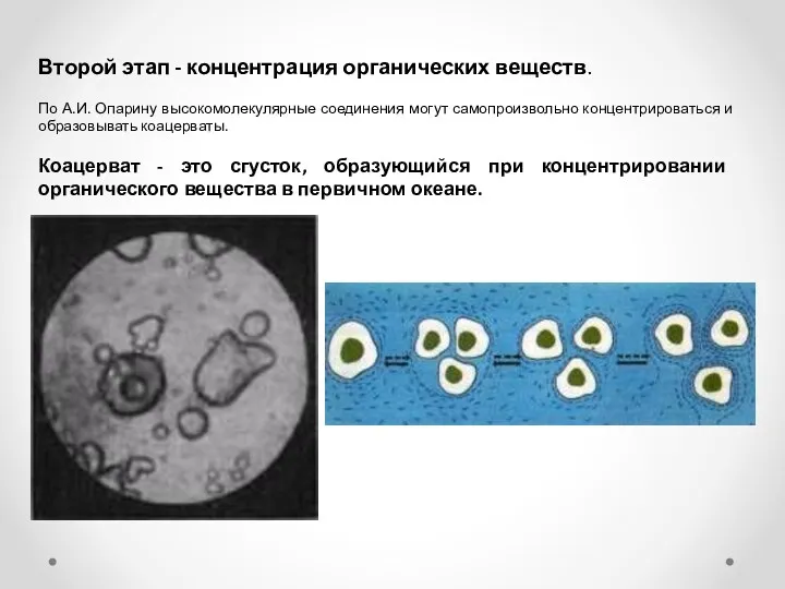 Второй этап - концентрация органических веществ. По А.И. Опарину высокомолекулярные