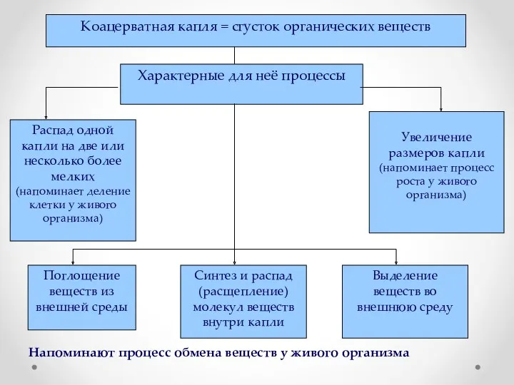 Напоминают процесс обмена веществ у живого организма