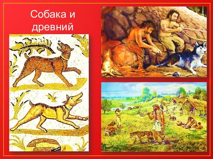 Собака и древний человек